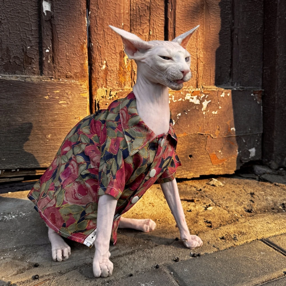 Red Retro Shirt for Sphynx Cat Summer Literary Blouse For Kittens Big Belly Over Size Fashion Coat for Devon Rex Cat Supplies