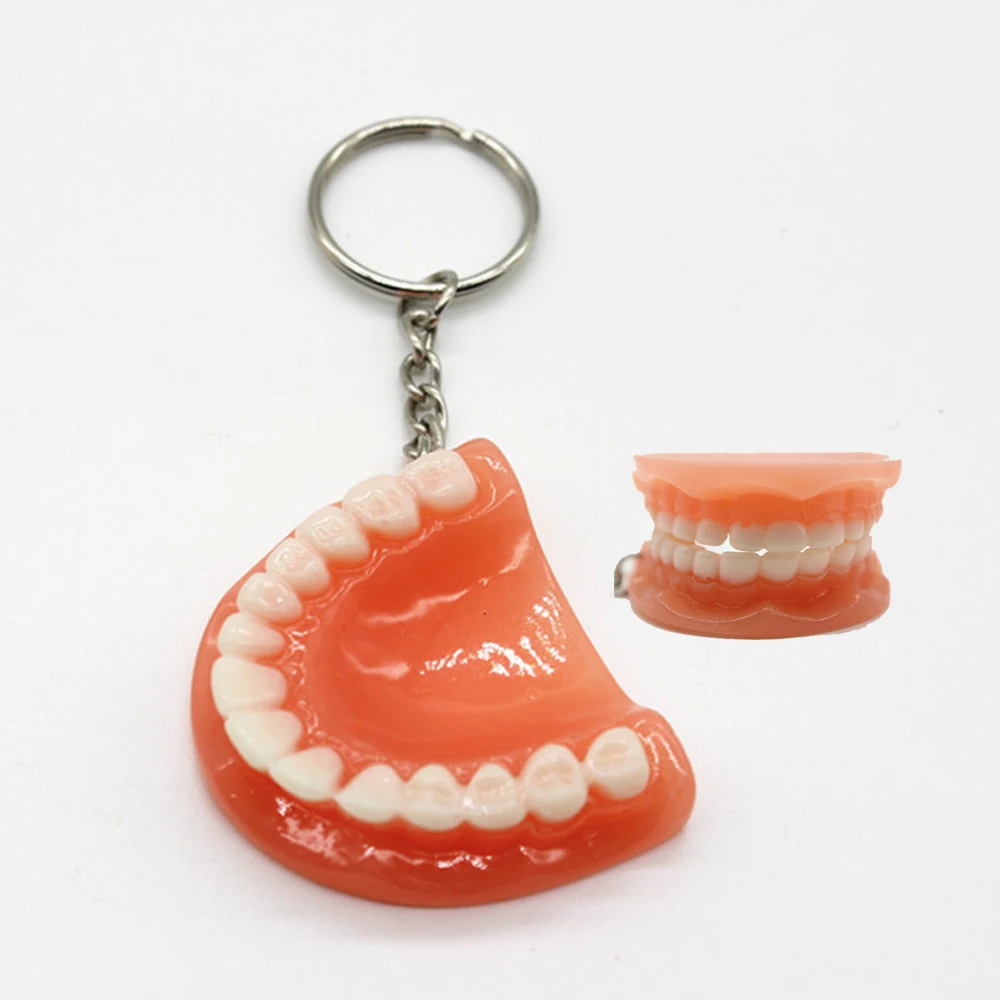 Tooth Key Chain Mold Resin Jaw Model Denture Keyring Keychain For Bags Charm Clinic Popular 2023 Trending for Kids