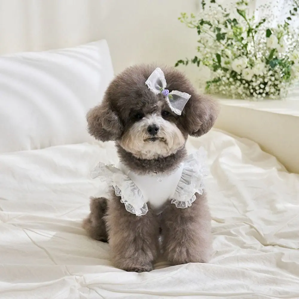 Comfortable Lace Pet Summer Vest Soft Breathable Cat Base Skirt Flying Sleeve Pet Dress Spring view 5