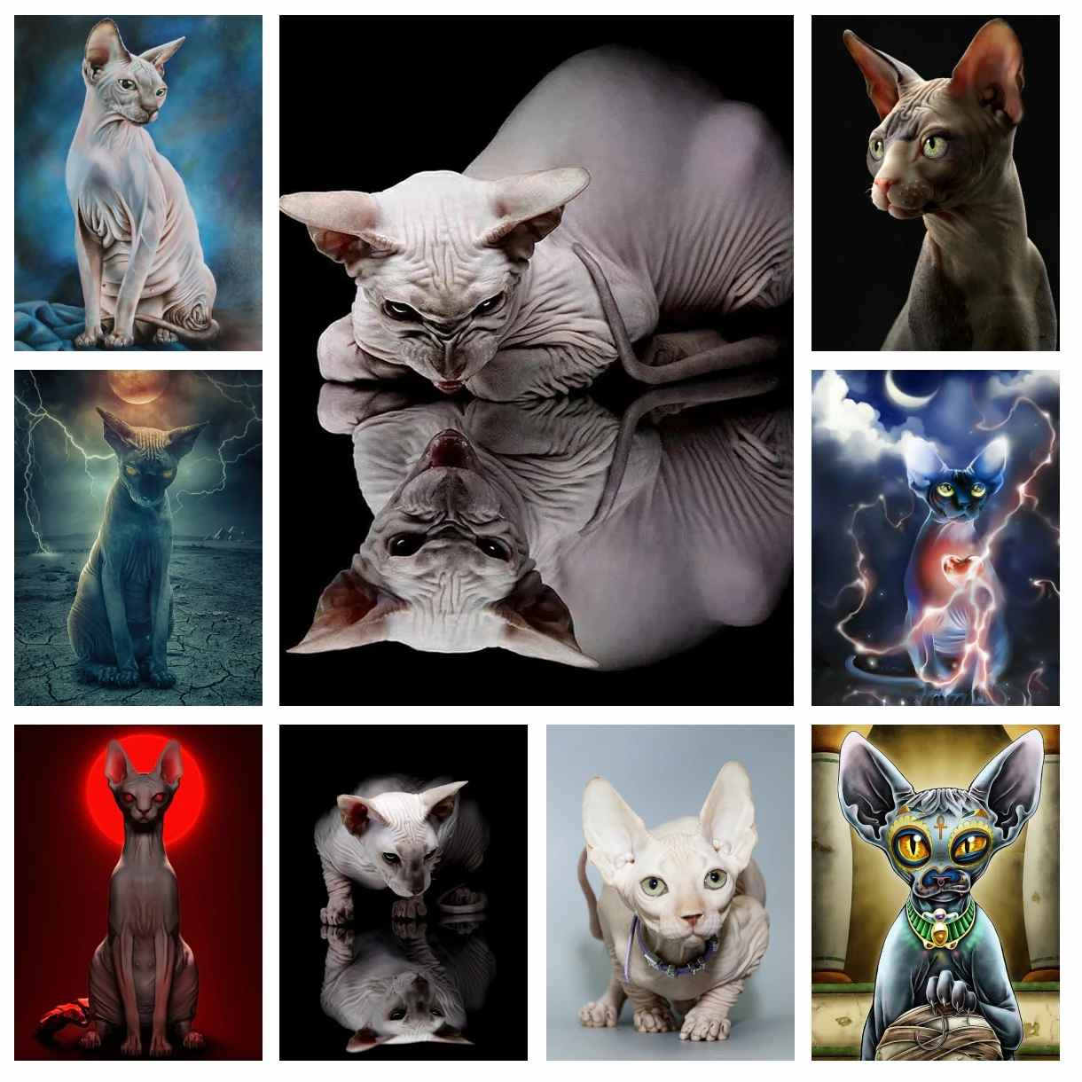 5D Sphynx Cat Diamond Rhinestones Painting Accessories Cute Pets Animal Images Cross Stitch Embroidery Picture Mosaic Home Decor