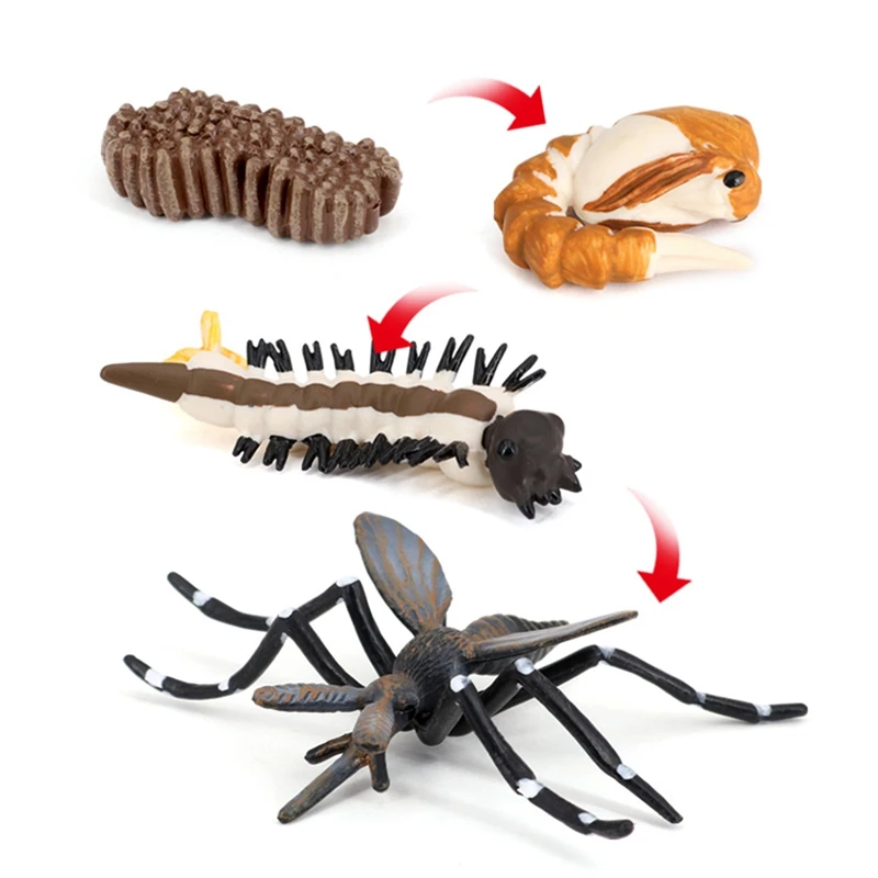 Simulation Animals Growth Cycle Mosquito Insect Growth Cycle Model Kids Educate Cognitive Toy