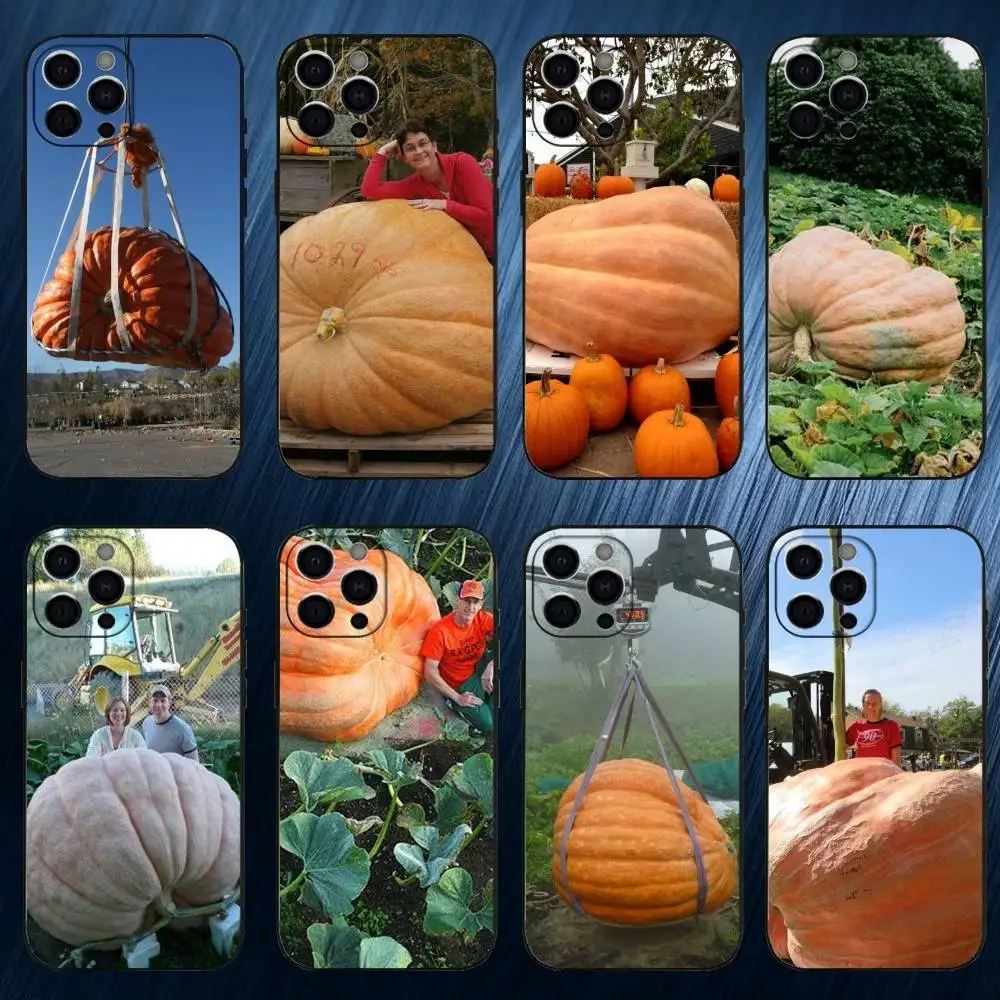 

Giant Pumpkin Phone Case For iPhone 17,16,15,14,13,12,11 Plus,Pro Max, Soft Silicone Black Cover