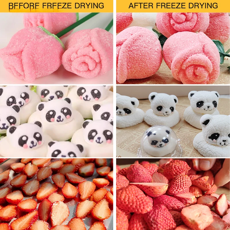 Small Business Mini Home Fruit And Vegetable Lyophilizer Vacuum Freeze Dryer Machine Food For Start Up