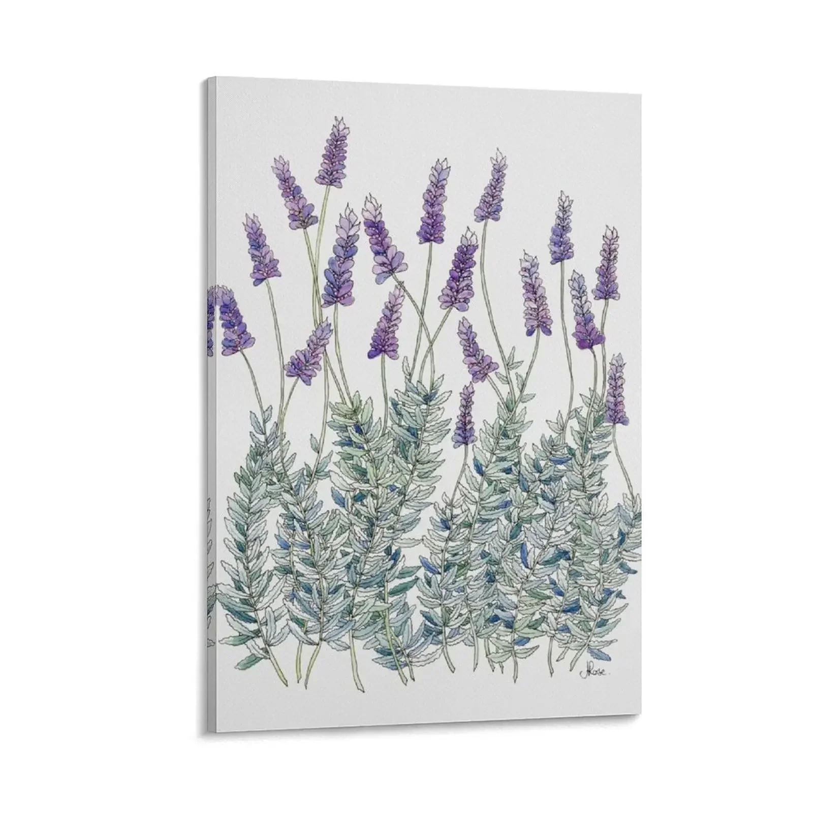 

Lavender, Illustration Canvas Painting cute room decor korean room decor room decorations for men