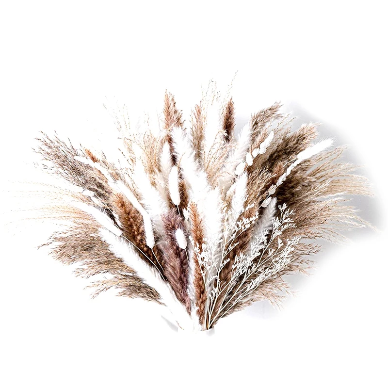 80PCS Natural Dried Pampa Grass Bouquet,Boho Home Decor Bouquet, Phragmites Dried Flowers,Bouquet for Wedding Ramadan Decoration