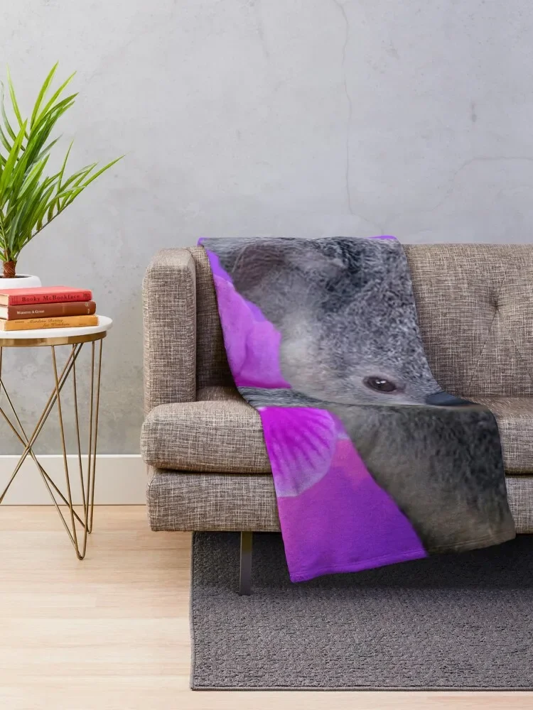 Koala and Orchids Throw Blanket Bed Sofas Giant Sofa Blankets