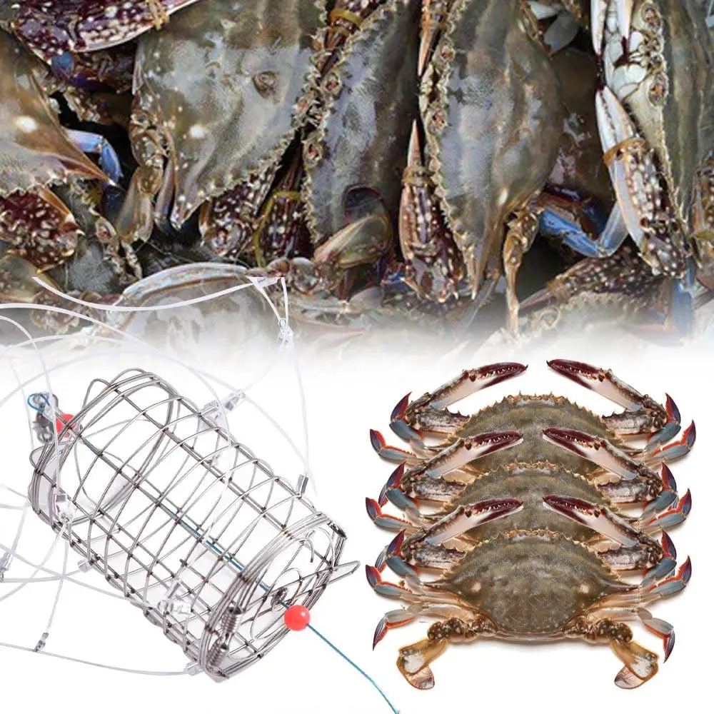 Stainless Steel Crab Catching Tool Lure Trap Fish Cage 8 Laps Crab Fishing Cages Fishing Tackle Feeder Crab Trap