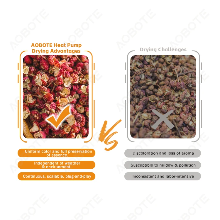 Compact Plug And Play Drying Mushrooms Peppercorns And Nuts Heat Pump Dehydrator With Remote Control Home Use