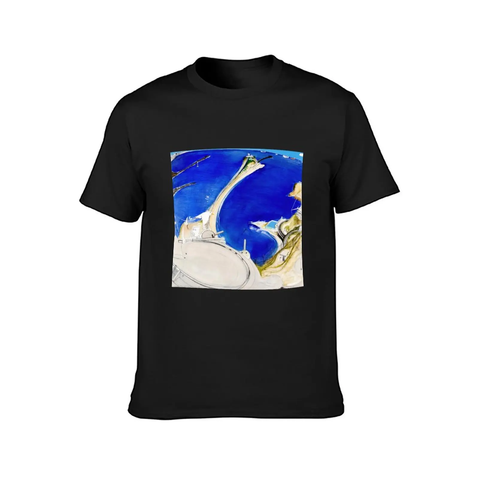 Brett Whiteley T-Shirt heavyweights oversized t shirts for men graphic