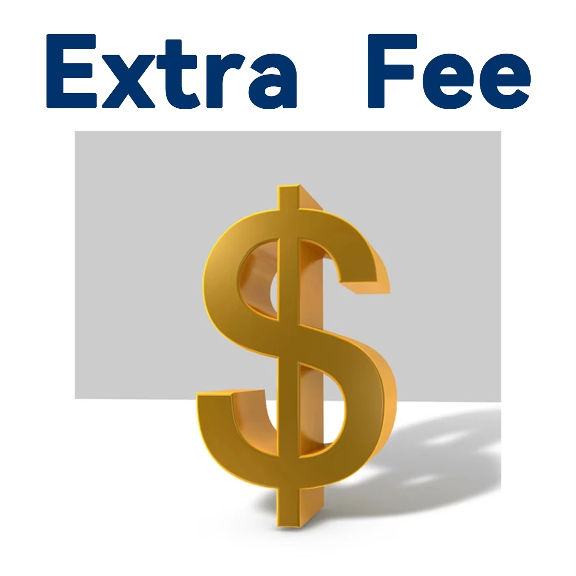 رسوم الشحن الإضافية/الرسوم الإضافية/تخصيص إضافي للعملاء #1