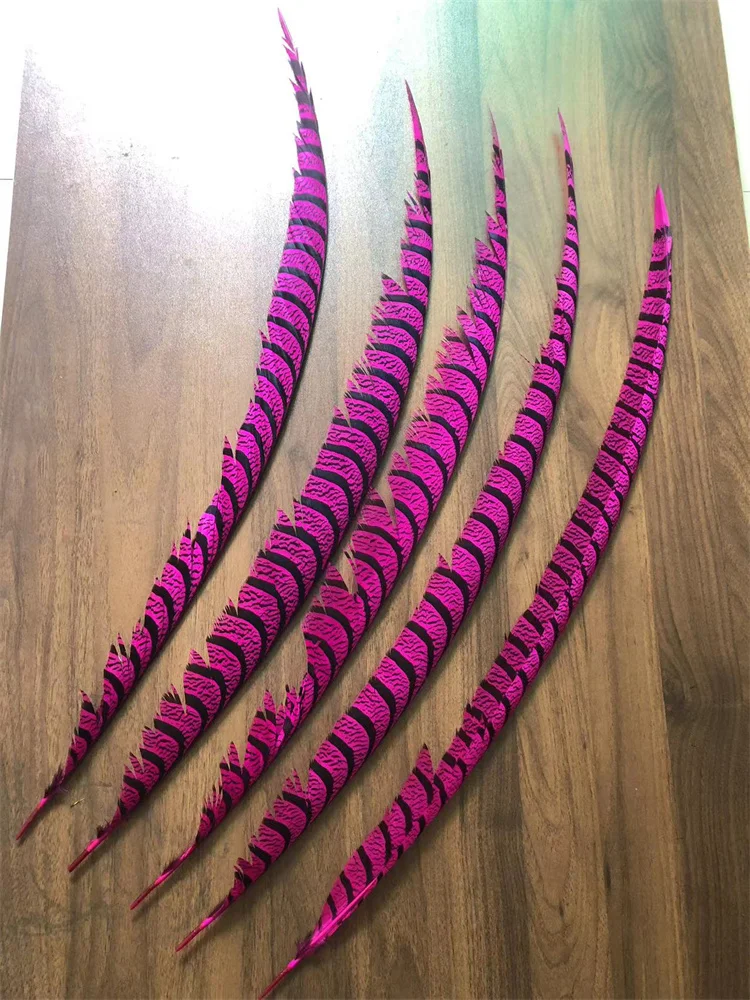 5PCS Hot Pink Dyed Zebra Pheasant Tail Feathers Natural Lady Amherst Pheasant Feather Plumes Carnival Backpieces Making Plumas