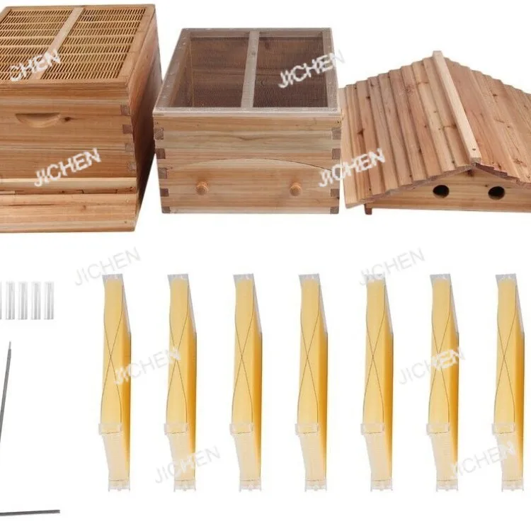 

Honey artesian flow, honeycomb, honey nest, bee, fully automatic full set