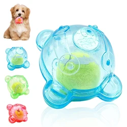 Pet dog toy Crystal Tennis ball Bear Head bite resistant grinding teeth squeeze vocal ball suitable for large and small dogs