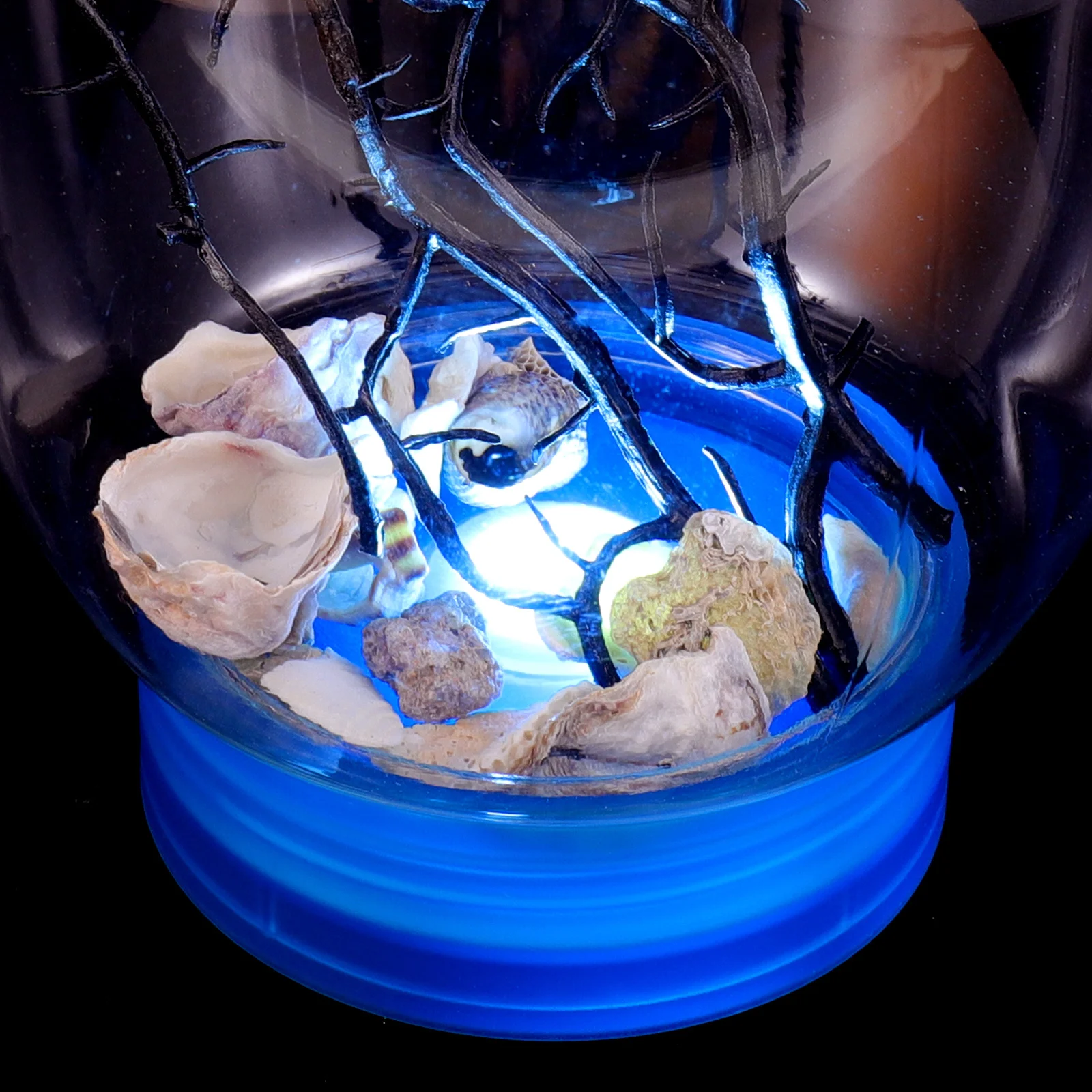 

Mini Fish Tank Ecosphere 360-Degree View Self-Sustaining Aquatic Ecosystem Desktop Aquarium With Led Lighting Closed