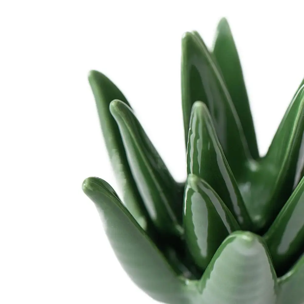 Ceramic Aloe Plant Ring Holder Nordic Style Green Aloe Jewelry Display Stand Plant Shape Decorative Earring Necklace Plate