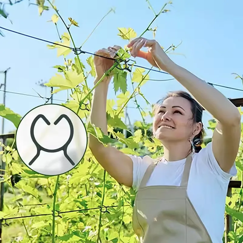 100PCS Garden Plant Support Clips Vine Vegetable Stem Fixing Grippers Flower Lever Loop Holder Clamps