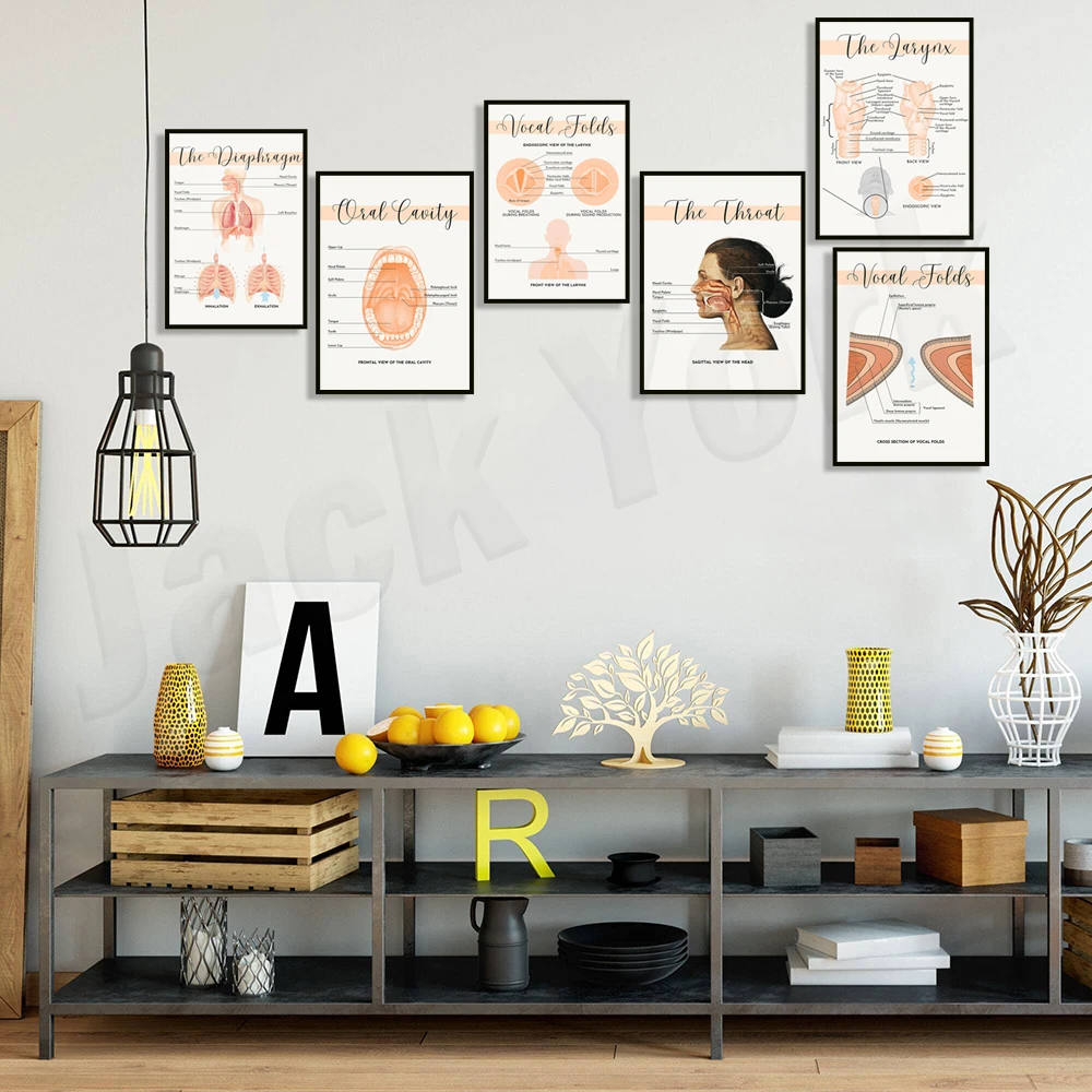 Mouth throat, vocal cords, diaphragm anatomy diagram, speech voice therapist print, SLP therapy office decoration poster