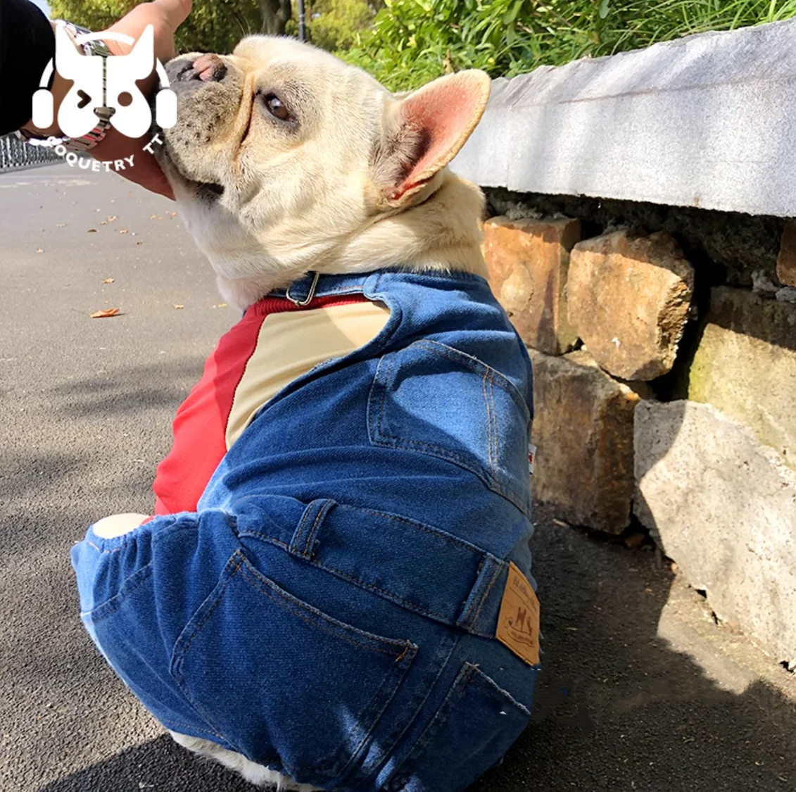 

Classic American Western Cowboy Style Blue Comfortable Soft Dog Harness Pants Petite One-Piece Pants