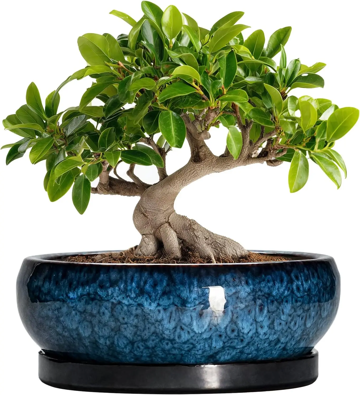 

10-дюймовый керамический горшок для суккулентов с дренажным отверстием и поддоном, для комнатных и уличных растений, синий цвет