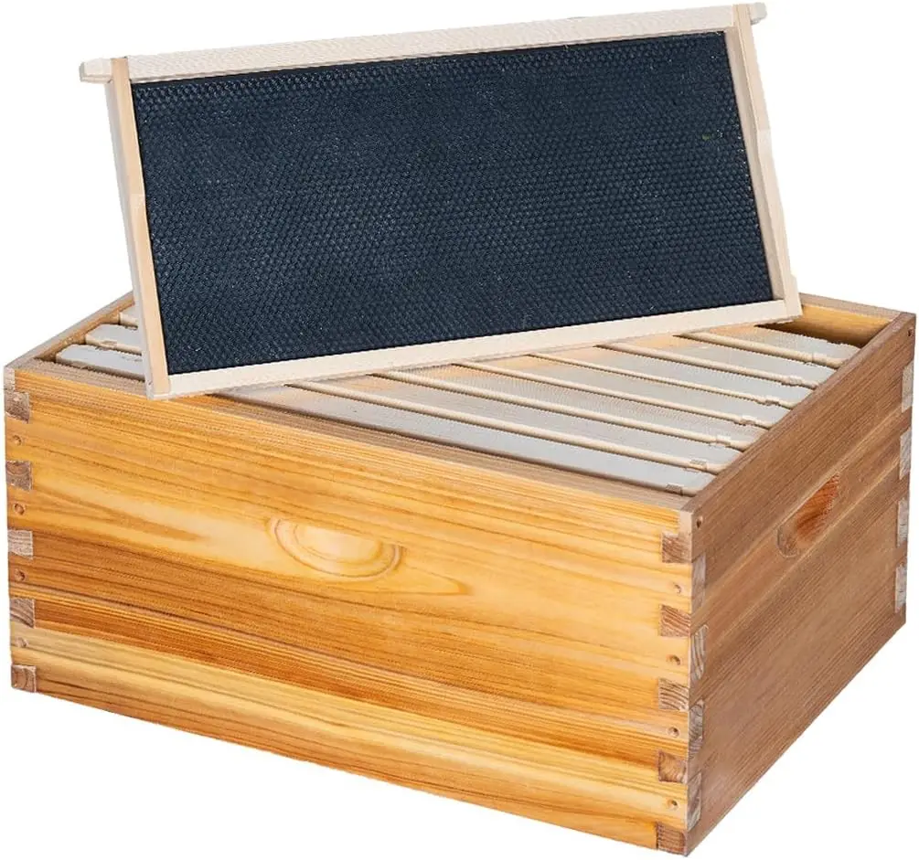 

8 Frame Deep Brood Beehive Box, Cedar Wood Langstroth Hive with Beeswax Coating and Frames (Unassembled)