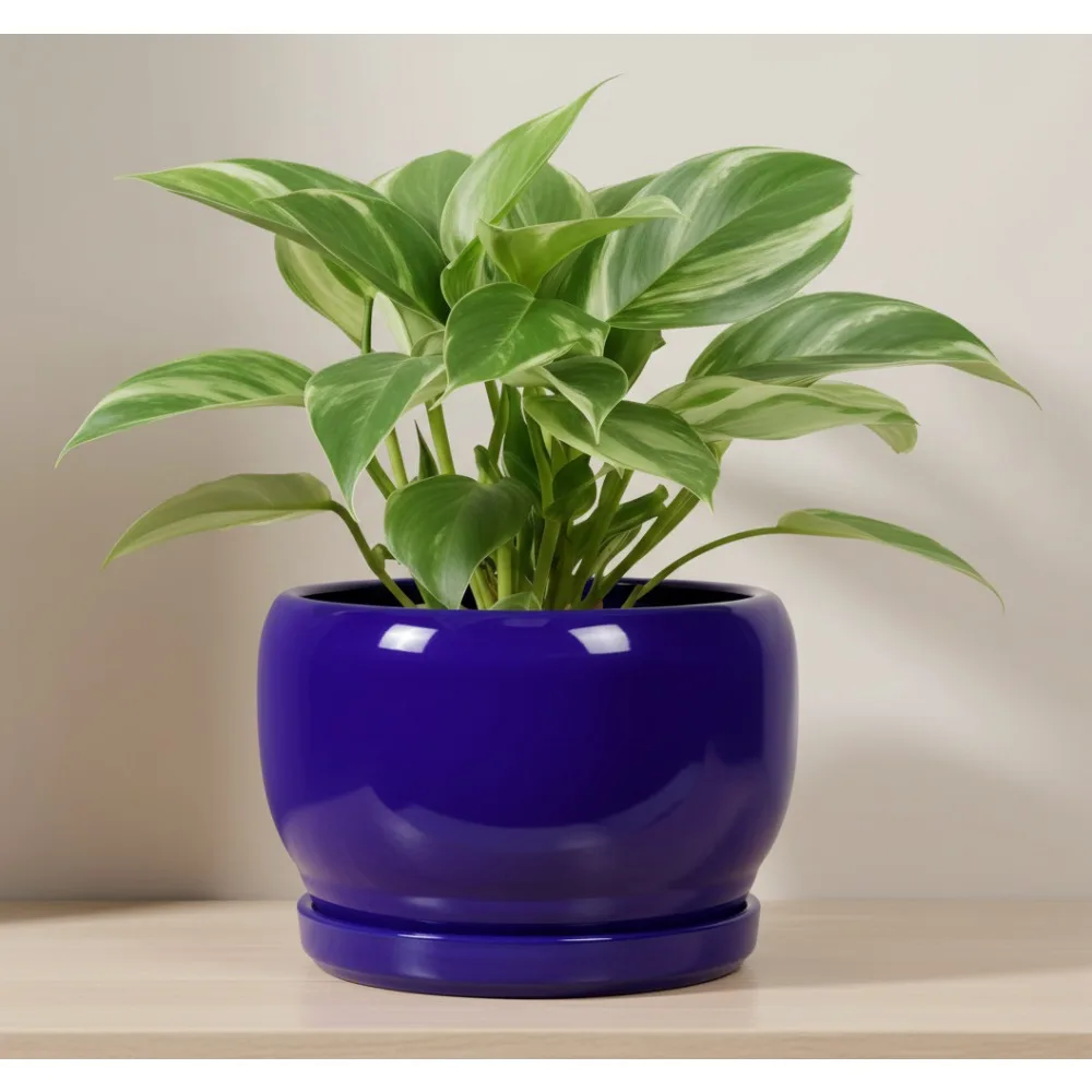 

8-дюймовый керамический горшок для растений с дренажным отверстием и блюдцем, современный круглый горшок для комнатных уличных растений, подарок с синим декором