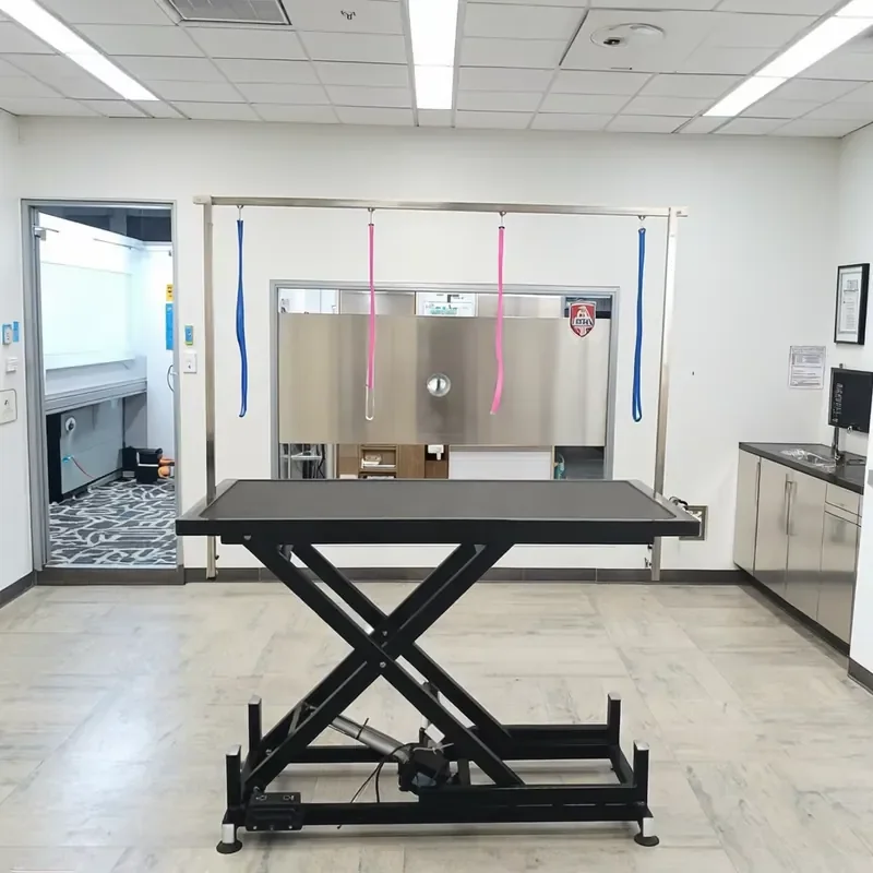 Professional Electric Dog Grooming Table 36 Inch with Adjustable Arm and Non Slip Mat for Pet Grooming Salon