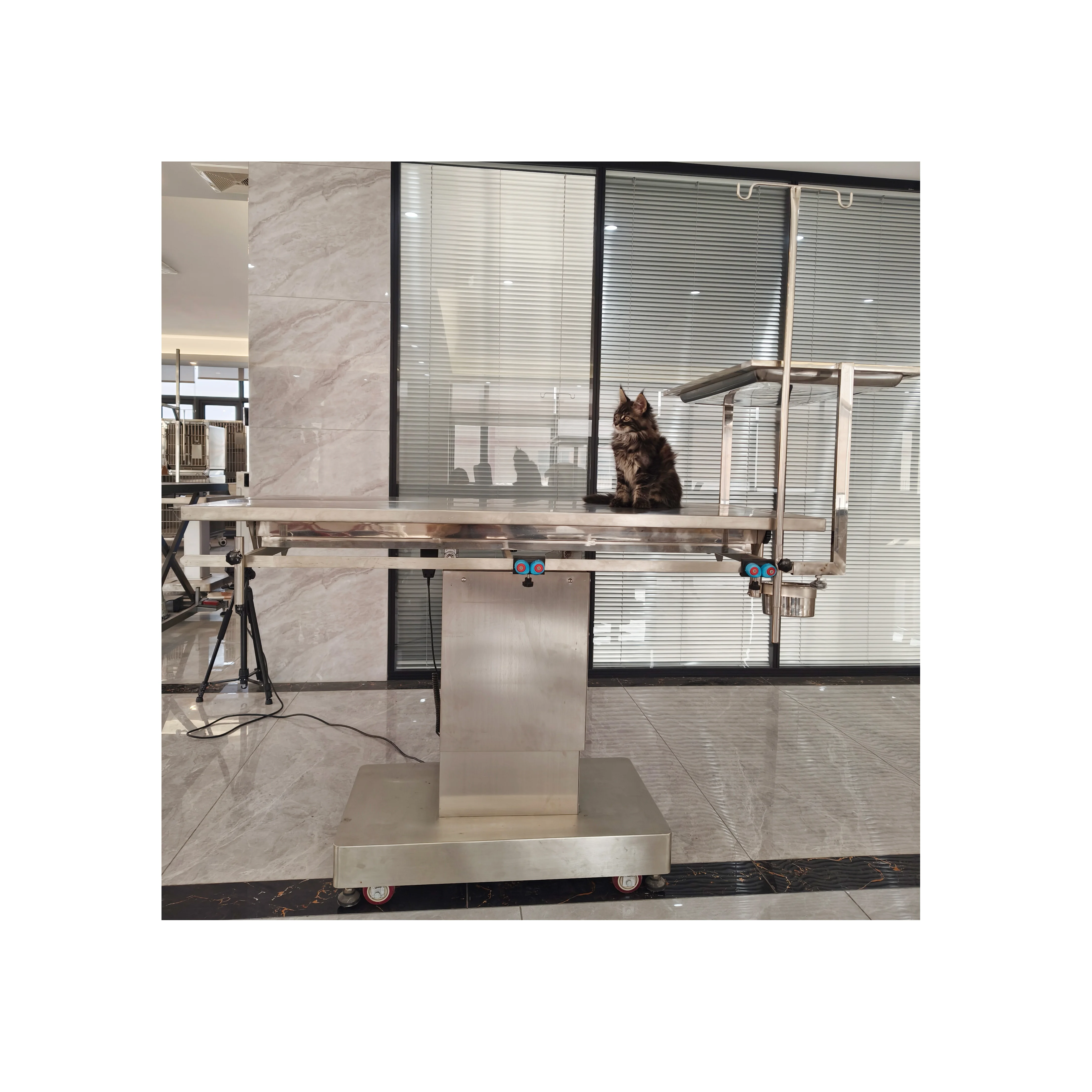 Dog Salon Multifunction Stainless Steel Animal Pet Electric Lifting Dog Cat Operating Table