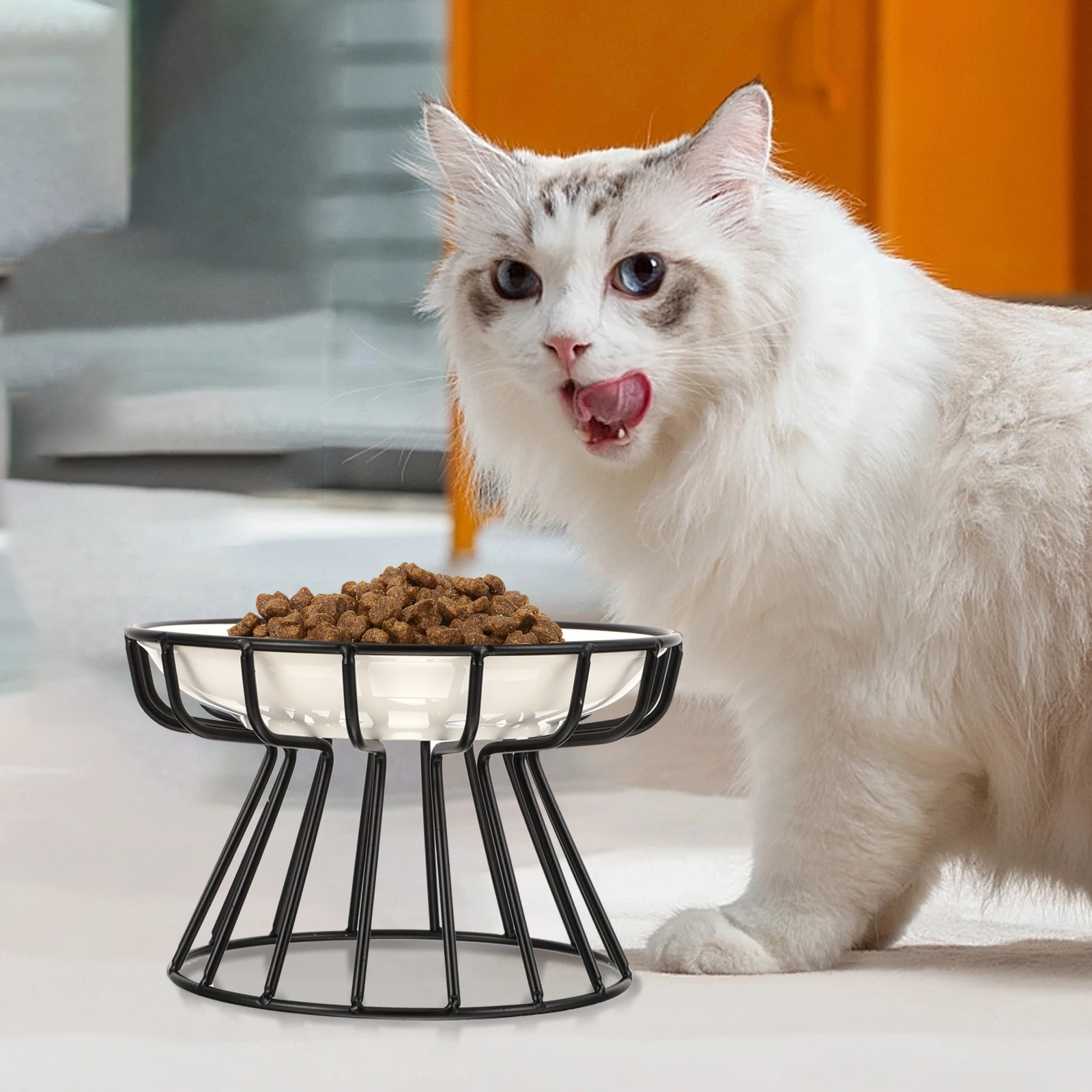 

Elevated Cat Dog Food Bowl Durable Ceramic Iron Smooth Surface Easy Clean Pet Feeding Stable Bracket High Base Black Water