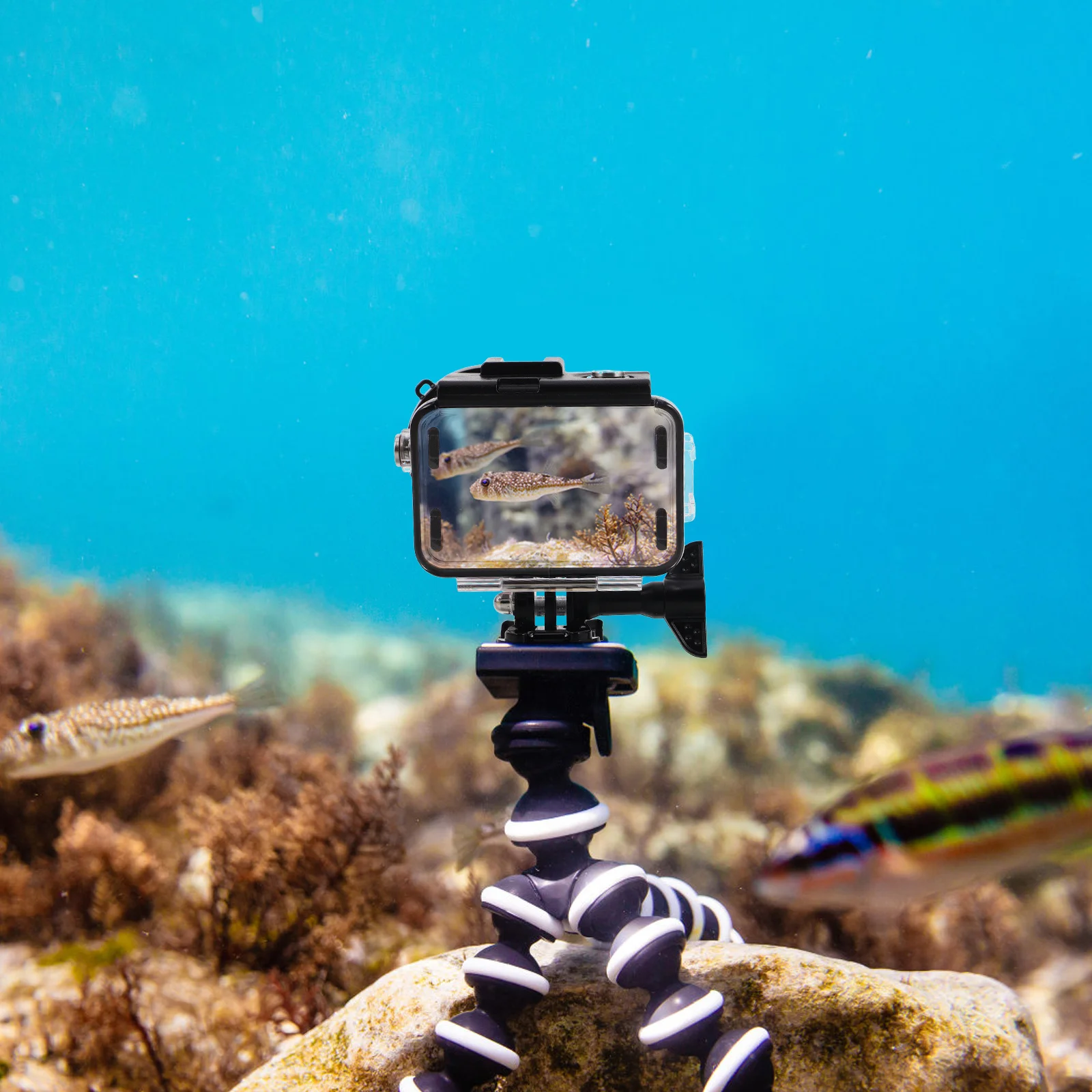 Waterproof Housing Dual Cold Shoe Mounts For Digital Camera Protection Underwater Case Portable Sturdy Shell Camera Accessories