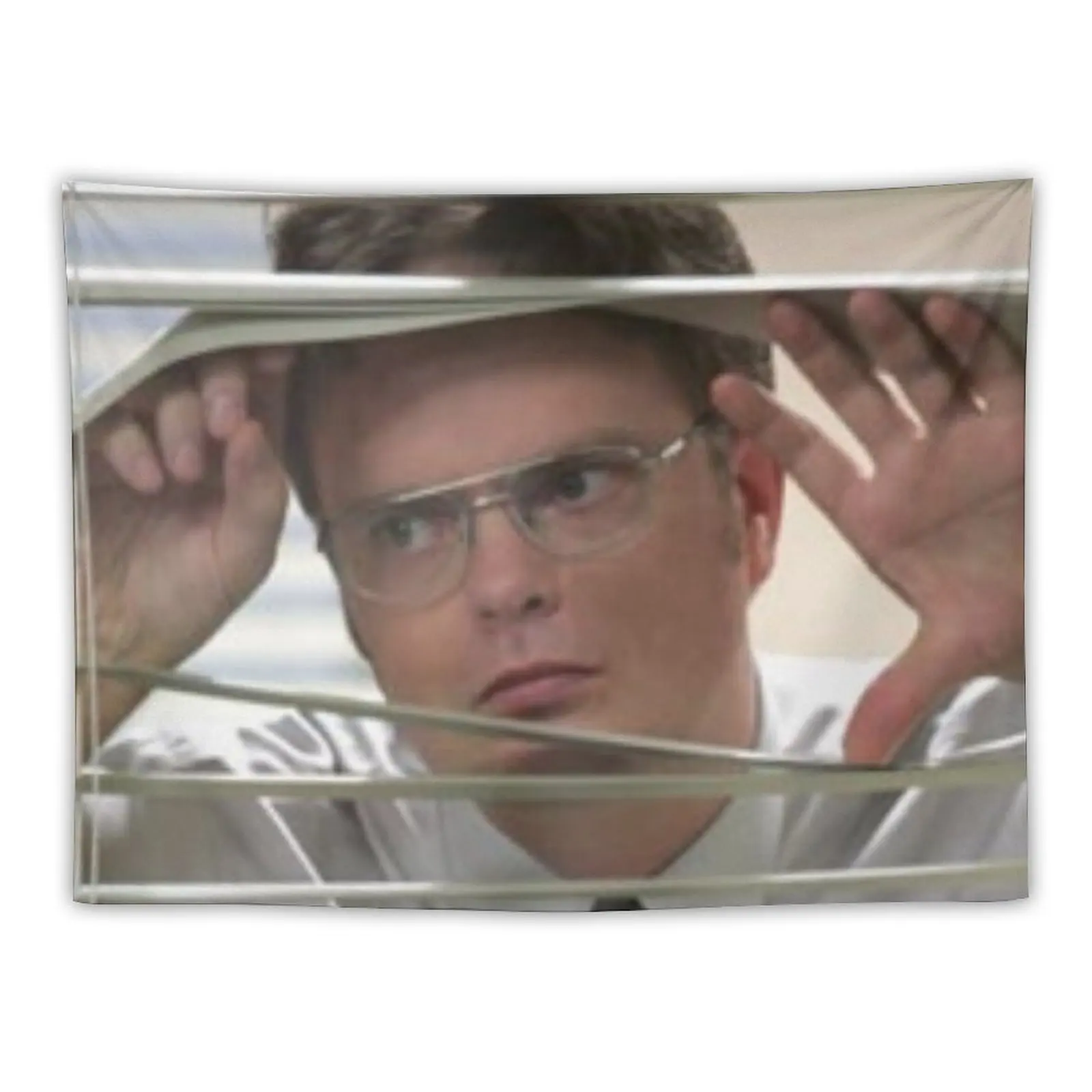 

Dwight Schrute Watching Through the window Tapestry Decoration For Home Room Decoration Aesthetic House Decorations