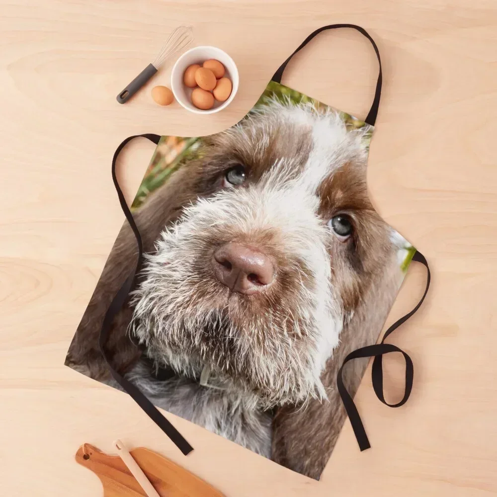 

Sitting puppy Spinone Apron kitchen utensil man chef uniform Kitchen Kawaii Accessories Hairdresser Apron