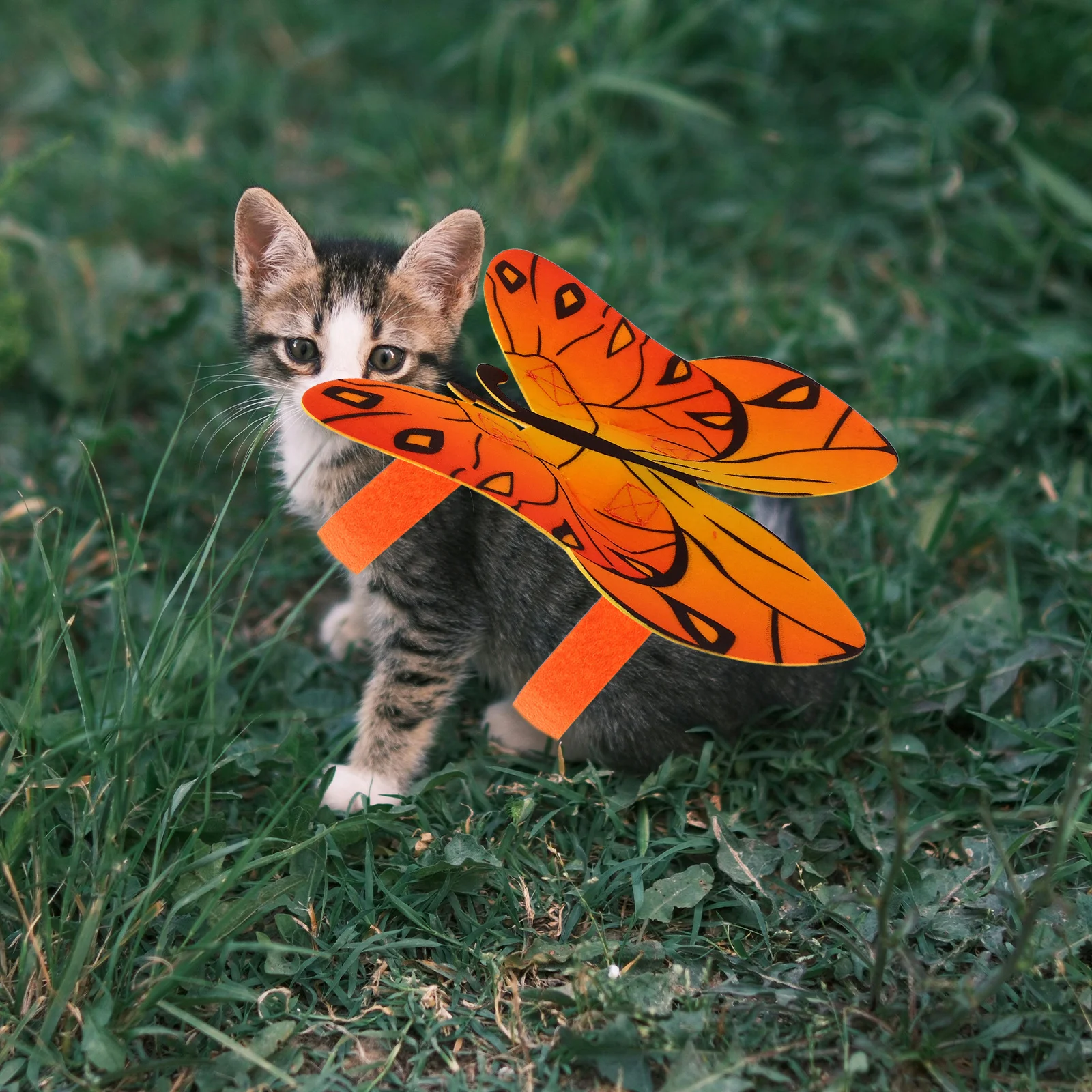 

Pet Costume: Butterfly Wings For Cats Small Dogs Lightweight Comfortable Wing Accessory For Halloween Party Cosplay Event