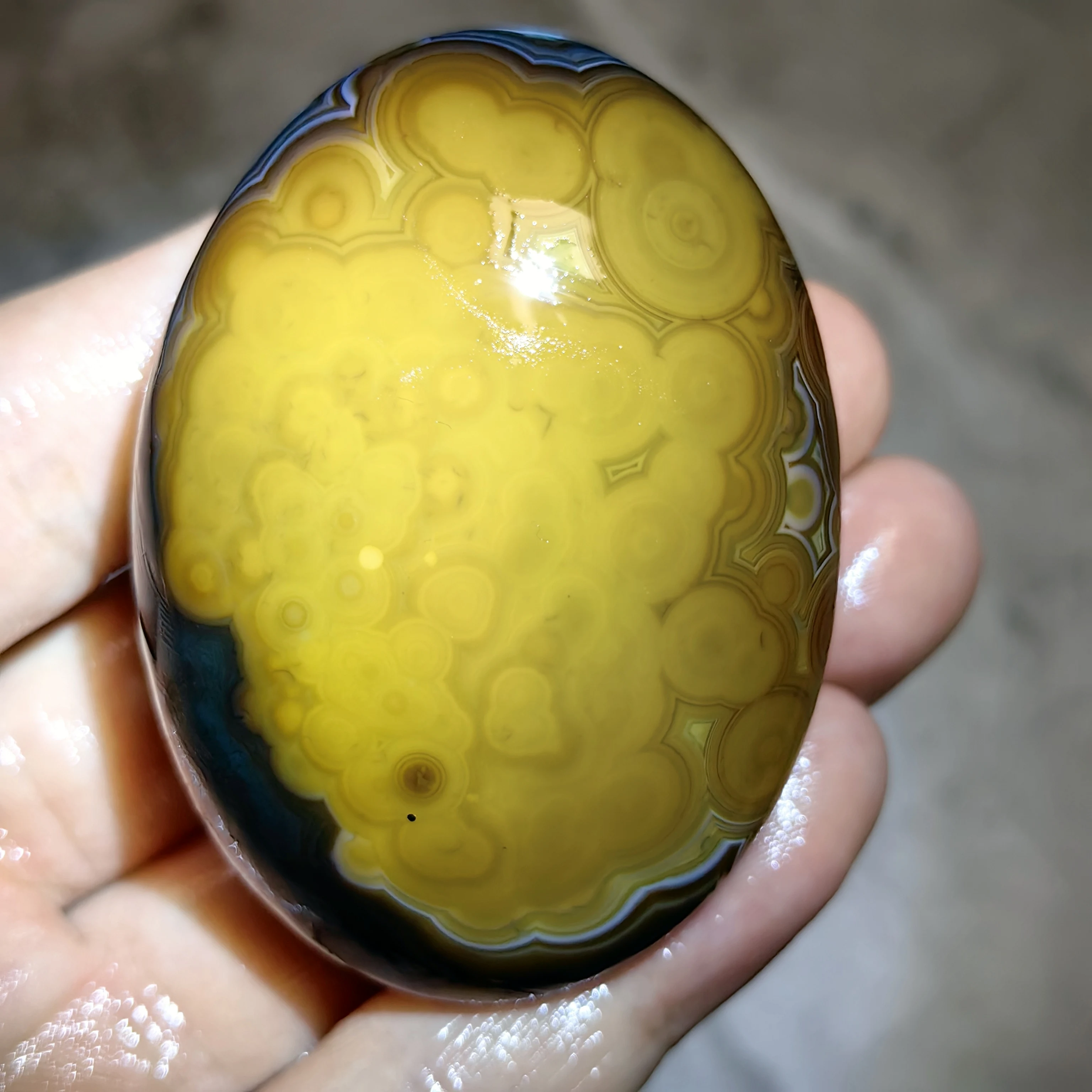 Rare Orbicular Agate Mineral Specimen, Unpolished Gobi Stone with Flower Patterns, Unique Gift for Rock Hounds & Nature Lovers