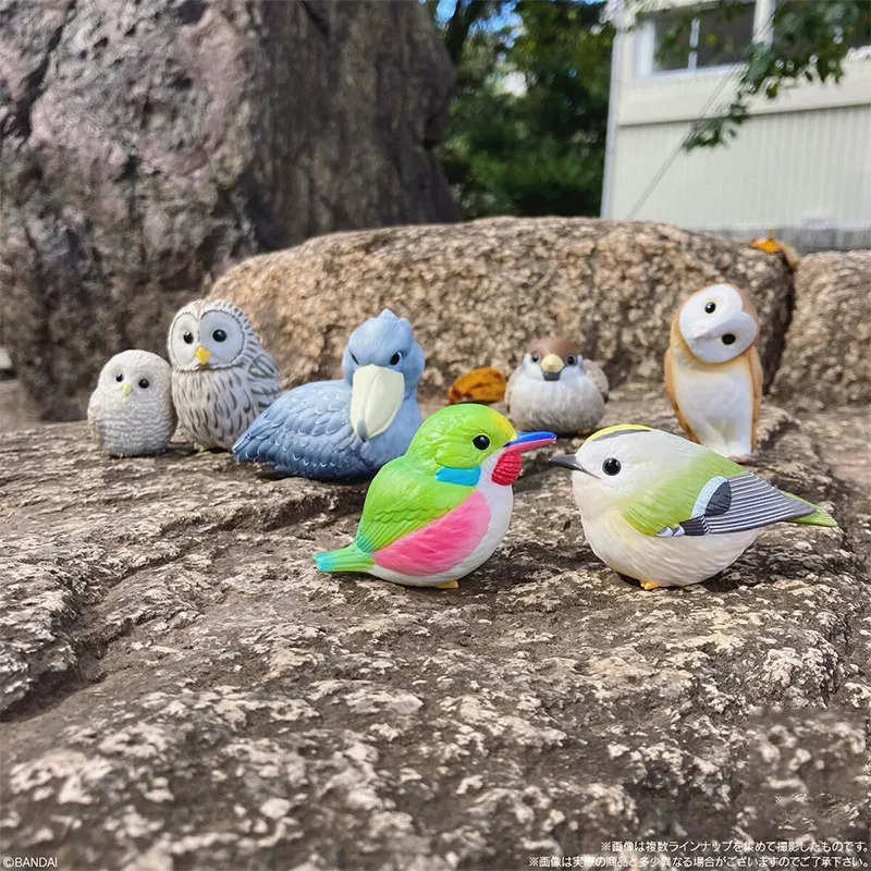 Bandai Palm Sized Bird Figurine Candy Toy Blind Box Owl Crow Sparrow Parrot Desktop Decor Home Ornament For Adult Collectors