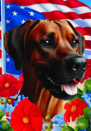 Rhodesian Ridgeback All-American Patriotic 1 Flag