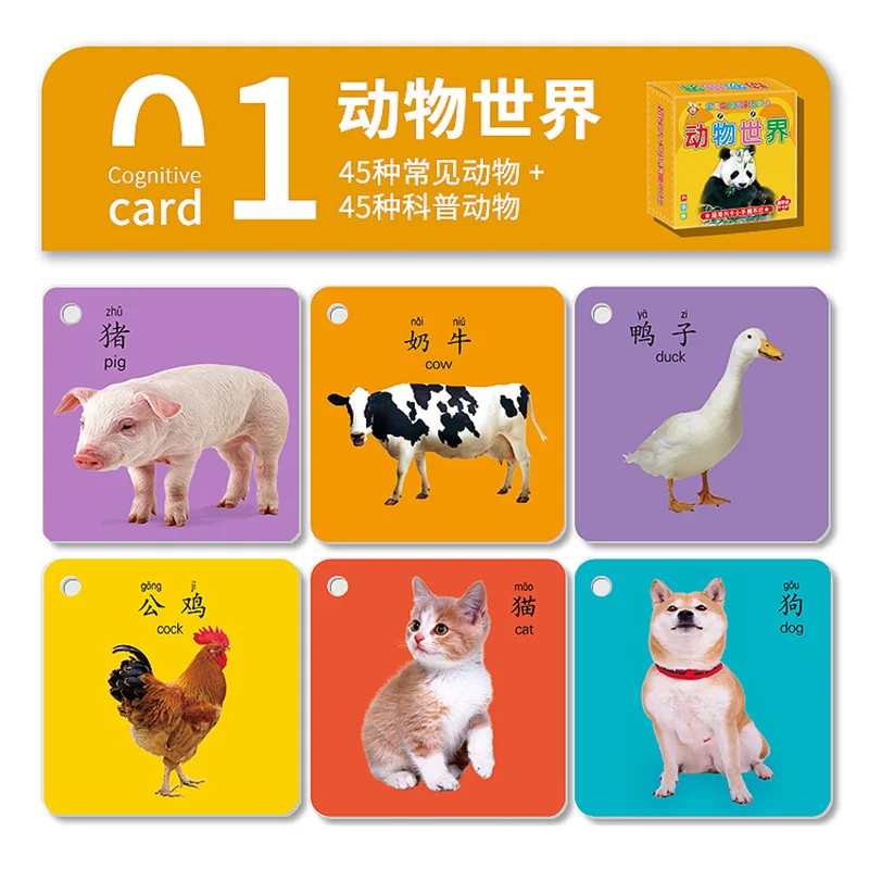 Carte Animal Montessori pour Bébé et Enfant de 0 à 6 Ans, Niche, Éducation Précoce, 9x9cm