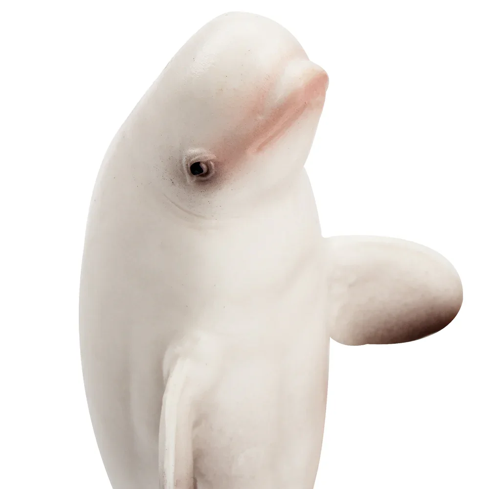 Toymany Simulation Beluga Whale Ocean Animal Model Toy Mini Figures Dolls Action Figurines Toys Children Gift Cake Decoration