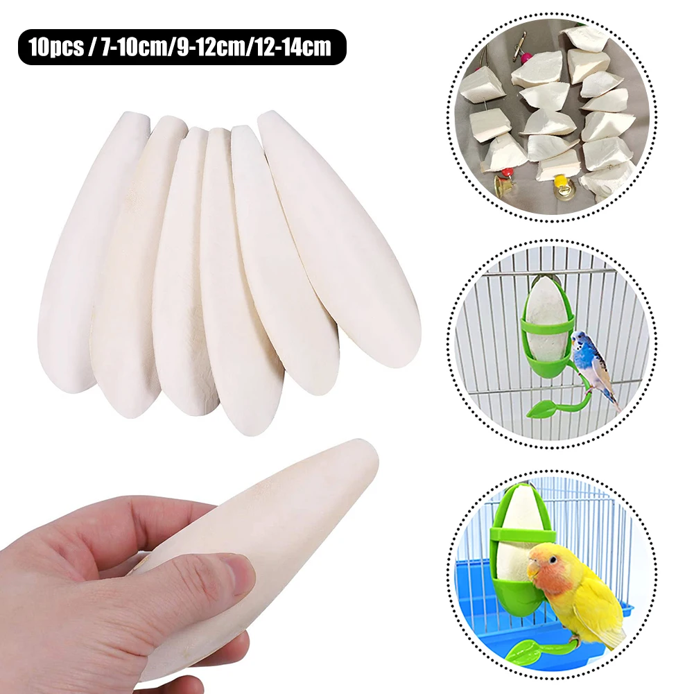 Juguete para morder huesos de loro, comida desmineralizada para mascotas, comida comestible para masticar huesos de sepia, suplementos nutricionales, equipo deportivo, 10 Uds.