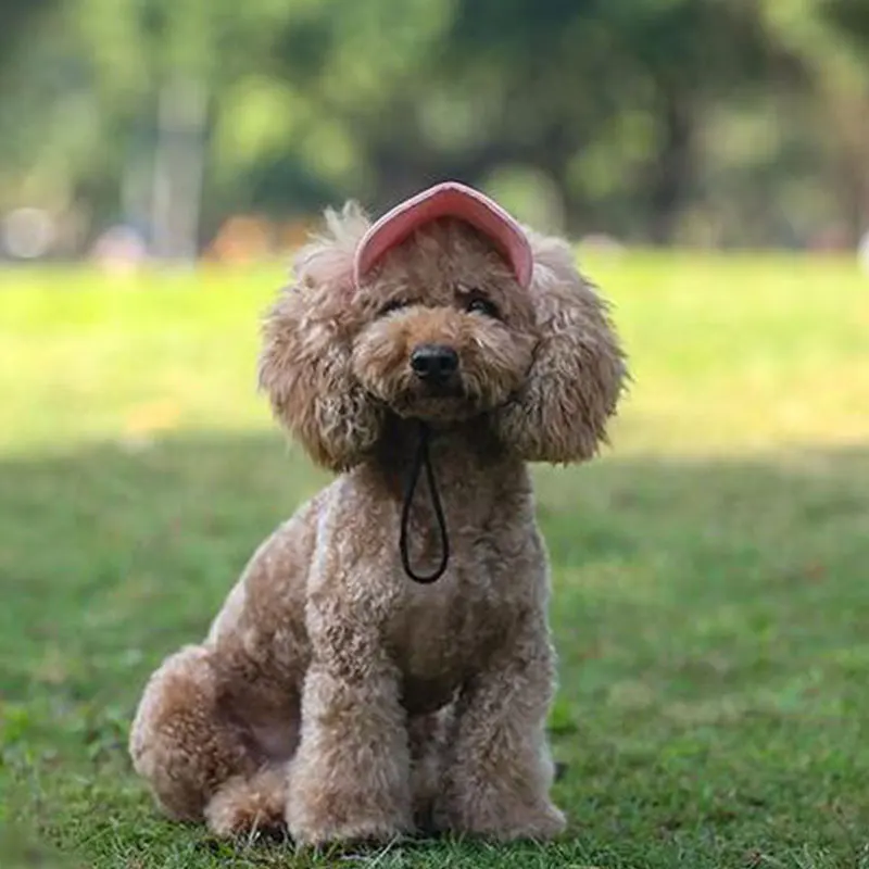 Pet Dog Cap Adjustable Puppy Baseball Hat Oxford Cap Dog Baseball Visor Hat With Ear Holes Outdoor Sport Pet Sunhat Pet Supplies