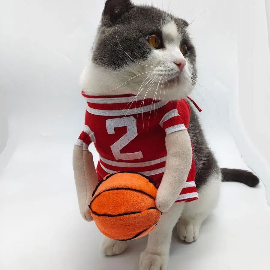 زي تنكري مضحك للقطط على شكل كرة سلة، زي للكلاب، ملابس ثلاثية الأبعاد قائمة بذاتها، سترة رياضية للحيوانات الأليفة للمناسبات ال...