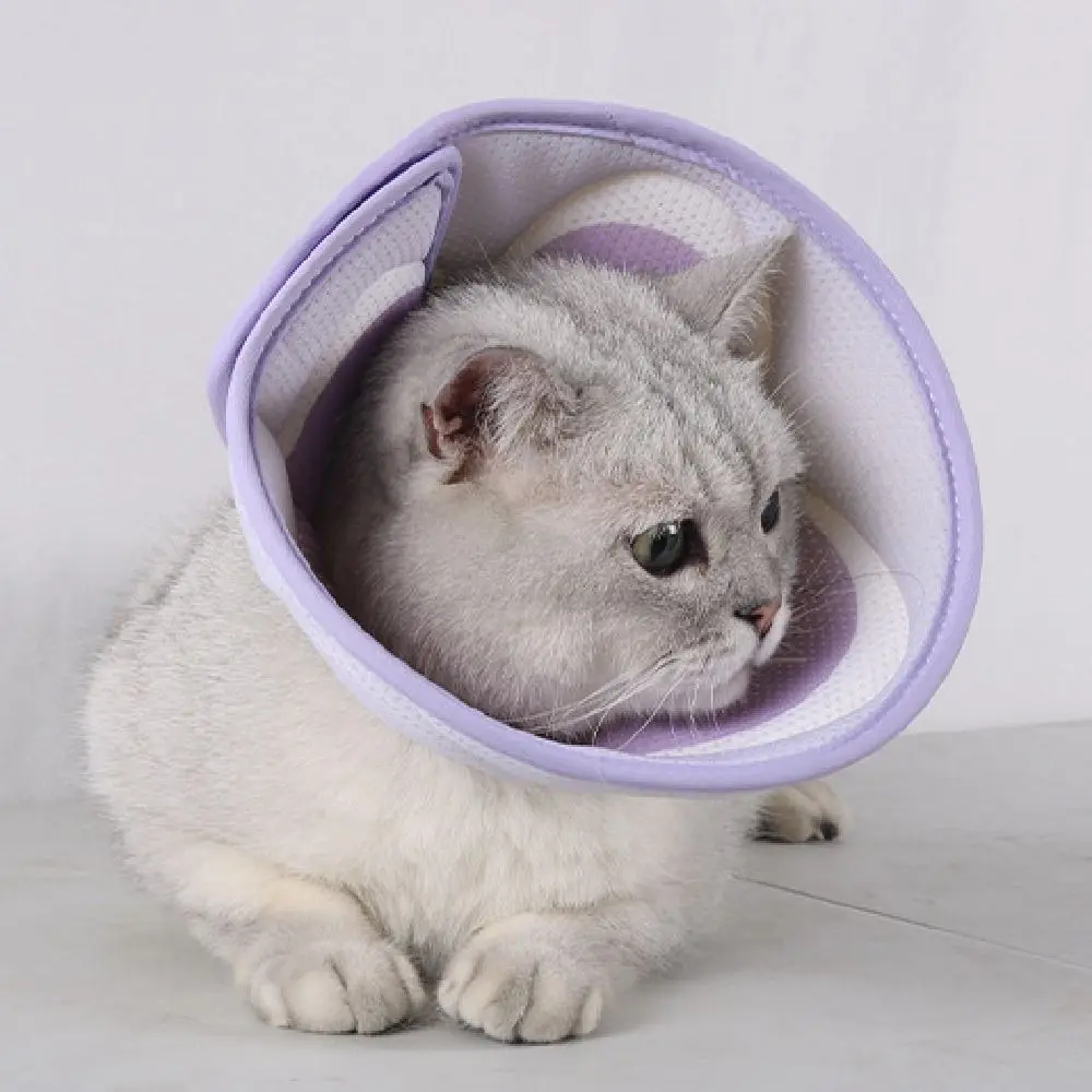 

Cartoon Pet Elizabeth Circle 3D Flower Printing Pet Protective Cover Soft Mesh Adjustable Dog Recovery Collar Postoperative Care
