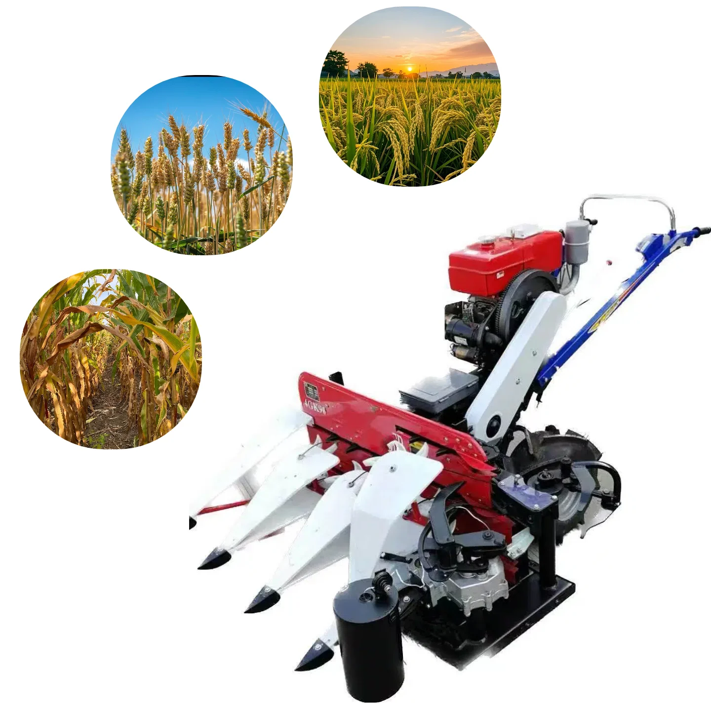 Ride - on Push Type Wheat/Barley Harvest Baler Gas/Diesel Small Walk Behind for Mugwort Factory Direct