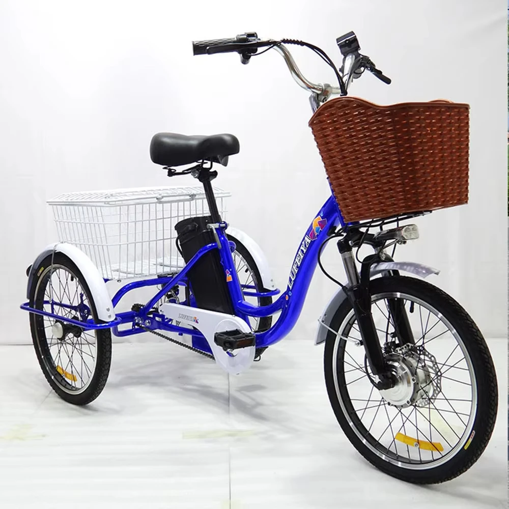 3-wiel elektrische driewieler voor lithiumbatterij 350W 48V 7-speed 20 inch elektrische bakfiets voor volwassen heren met trekmand