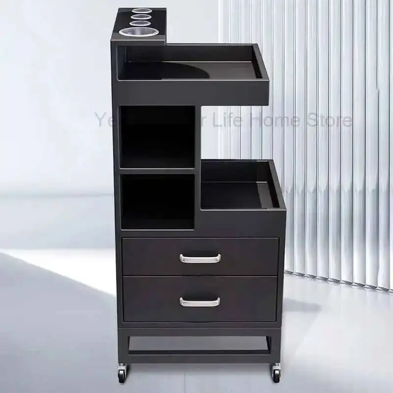 Cart Tool Professional Beauty Salon Furniture Decor Trolley Hair Drawer Living Room Moving Muebles Belleza Hairdressing Carts