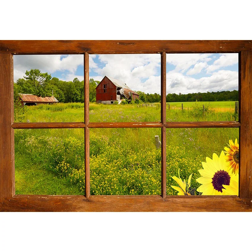 Spring Summer Window Sunshine Natural Scenic Vase Wooden Board Background Photography Backdrops Printed Photo Studio Photophone