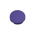 purple-300pcs