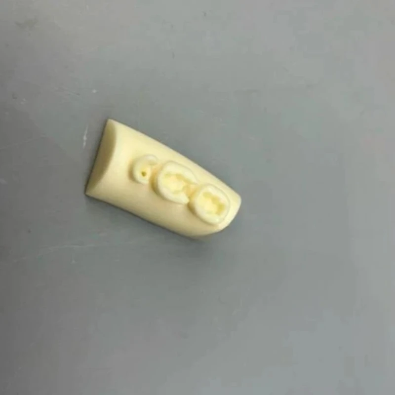20Pcs Oral Filling Model Dental Inlay Exercise Model Block Filling Typodont Resin Materials For Dentistry Teaching Study