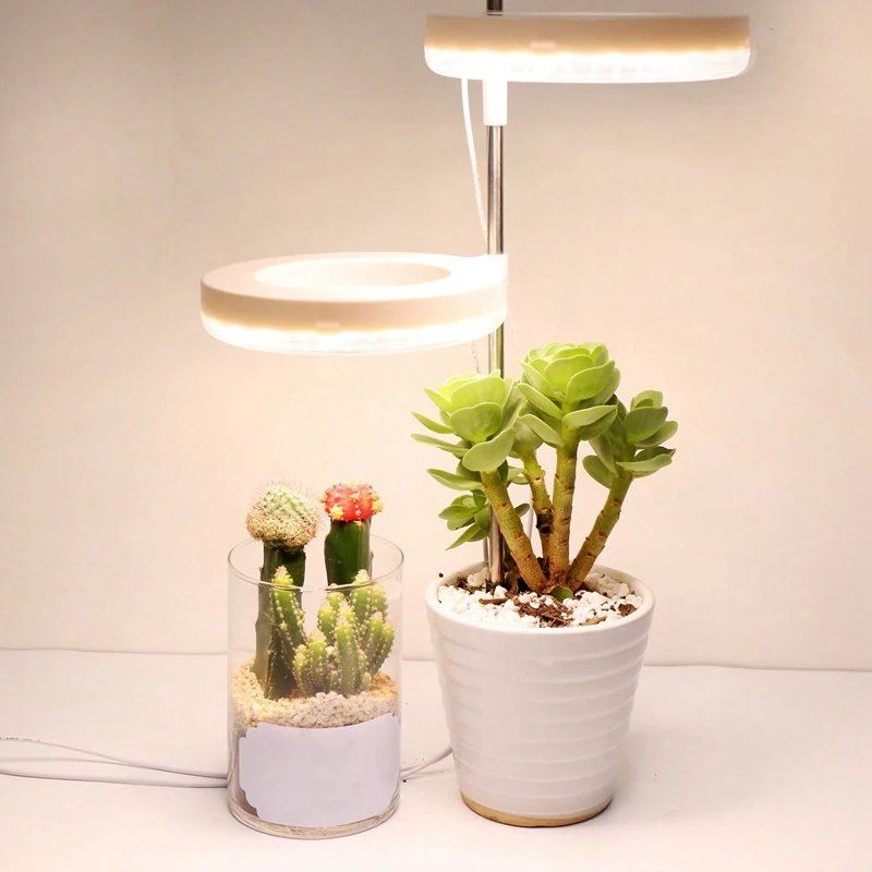 LED Grow Light-12H รอบจับเวลาอัตโนมัติสวิทช์ปรับแหวนแสงวงแหวนสําหรับสวนกระถางต้นไม้เริ่มต้นที่
