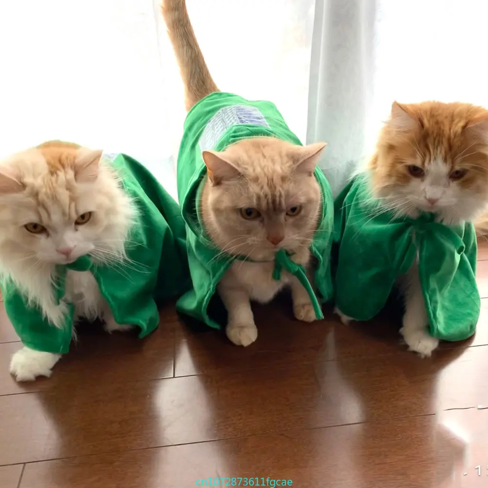 Attack Titaner Cat Cloak Shingeki No Kyojin Survey Corps Cat Dog Cape Cosplay Costume fotografia puntelli accessori per animali regali