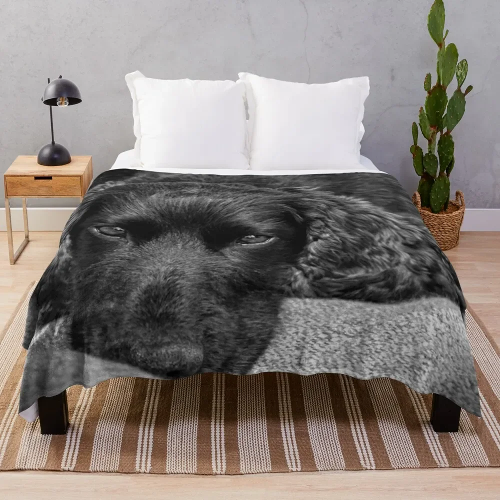 

Bob the Dog Throw Blanket Decorative Sofa warm winter Blankets